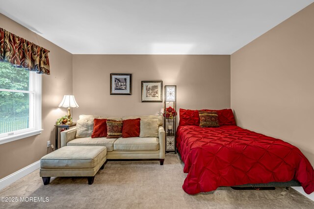 10 Cheryl Ln, Millstone, NJ 08510 - bedroom with carpet floors and baseboards