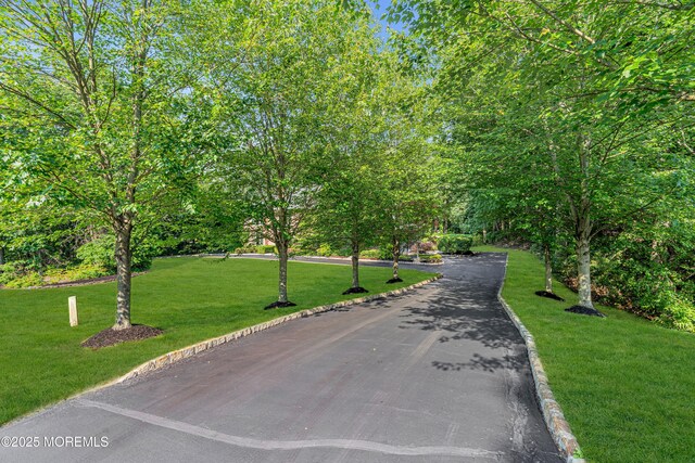 10 Cheryl Ln, Millstone, NJ 08510 - view of street