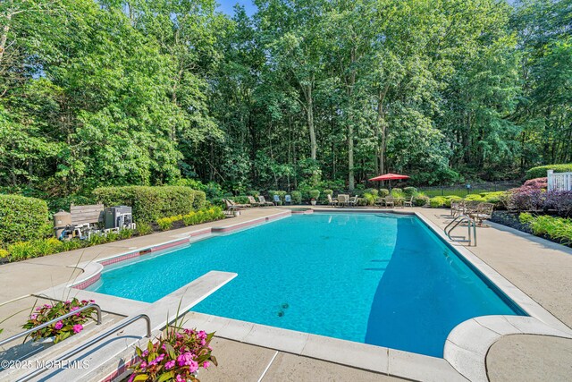 10 Cheryl Ln, Millstone, NJ 08510 - swimming pool featuring a patio and a diving board