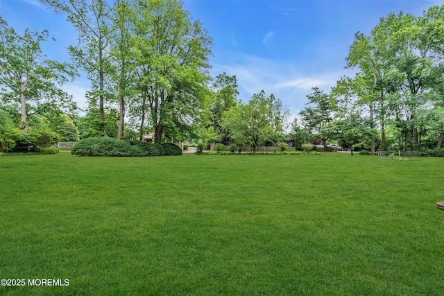 136 Iron Ore Rd, Manalapan, NJ 07726 - view of green lawn