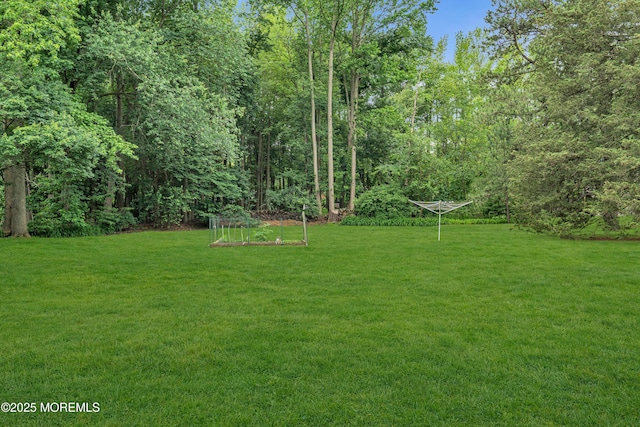 136 Iron Ore Rd, Manalapan, NJ 07726 - view of green lawn