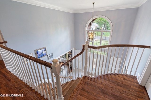 14 Tuscan Dr, Freehold, NJ 07728 - stairway featuring wood finished floors and crown molding