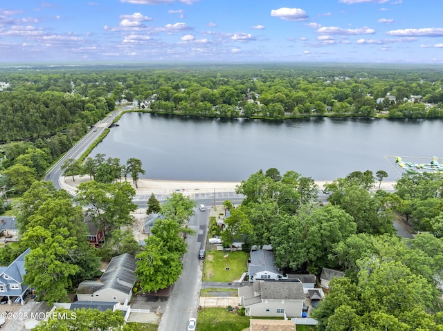 274 Falkenburgh Ave, Forked River, NJ 08731 - drone / aerial view of a heavily wooded area and a large body of water