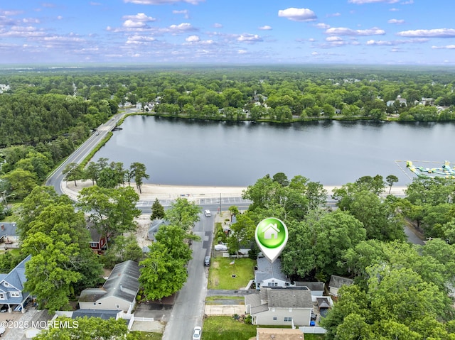 274 Falkenburgh Ave, Forked River, NJ 08731 - bird's eye view of a heavily wooded area and a nearby body of water