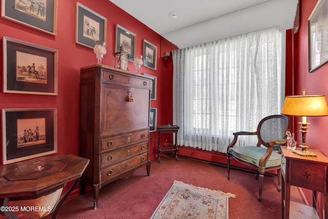 310 Cooper Rd Unit C, Red Bank, NJ 07701 - sitting room with carpet flooring