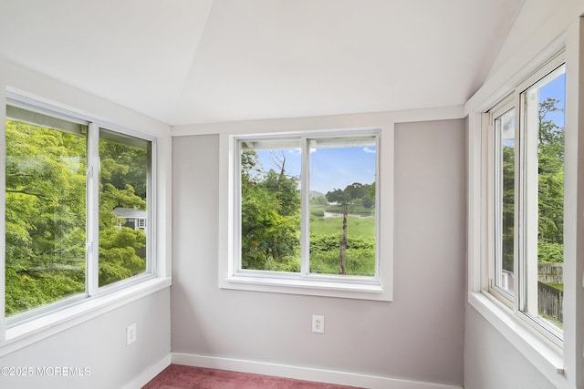 699 River Rd, Fair Haven, NJ 07704 - unfurnished sunroom featuring vaulted ceiling and carpet floors
