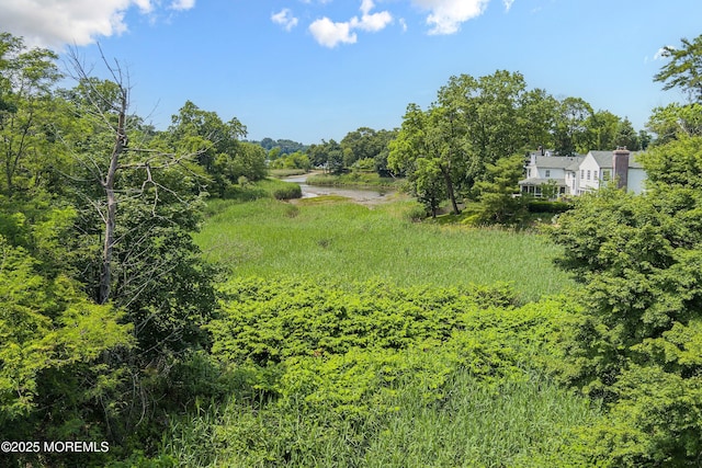 699 River Rd, Fair Haven, NJ 07704 - view of yard with a wooded view