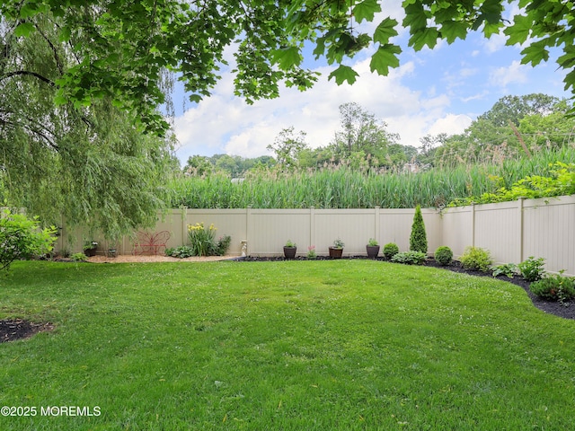 8 Clement Ln, Leonardo, NJ 07737 - view of fenced backyard