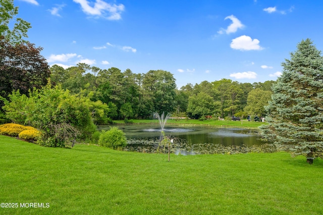 5 Oregon Dr Unit B, Whiting, NJ 08759 - water view featuring a forest