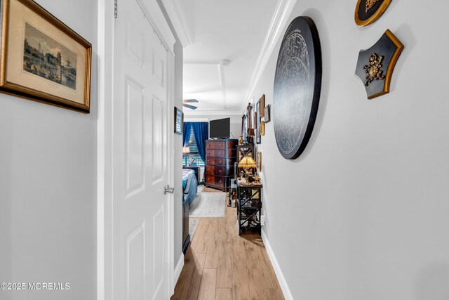 75 Farnworth Close Unit 1000, Freehold, NJ 07728 - hall with wood finished floors, crown molding, and baseboards