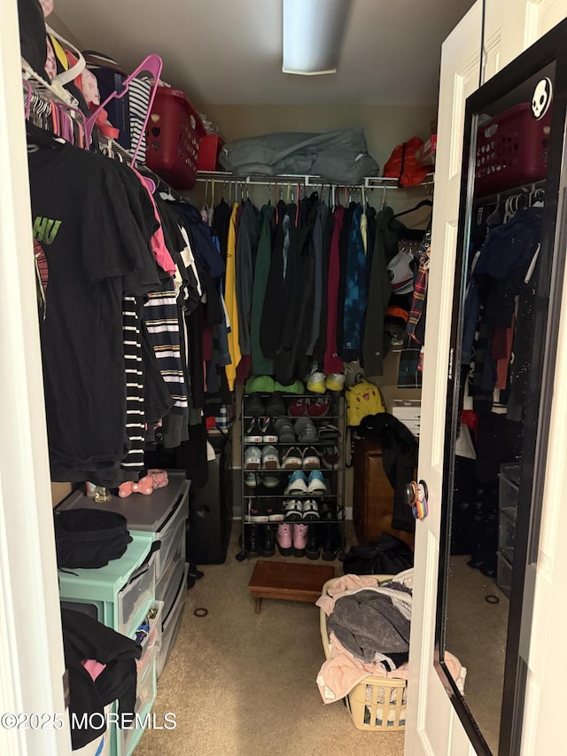 300 Allenhurst Ave, Neptune Township, NJ 07753 - spacious closet with carpet