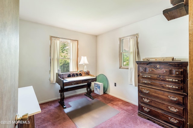 66 Cedar Swamp Rd, Jackson, NJ 08527 - office space featuring carpet floors