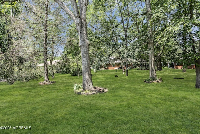 23 Snowberry Ln Unit A, Whiting, NJ 08759 - photo 18