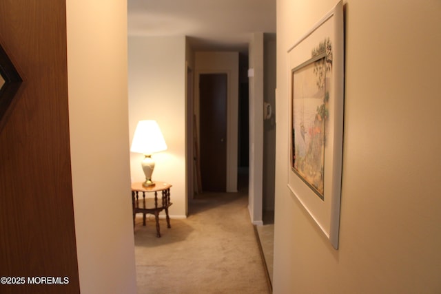 32C Yorktown Pkwy Unit C, Whiting, NJ 08759 - corridor with light colored carpet