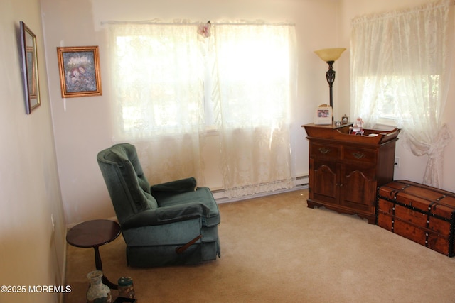 32C Yorktown Pkwy Unit C, Whiting, NJ 08759 - sitting room featuring light carpet and baseboard heating