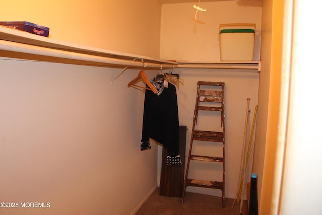 32C Yorktown Pkwy Unit C, Whiting, NJ 08759 - view of walk in closet