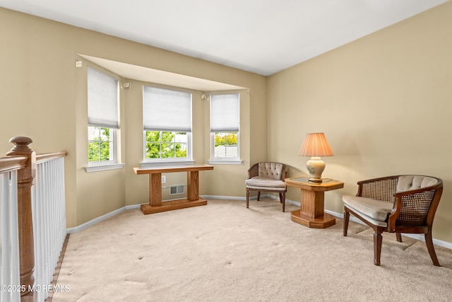 74 Mc Kinley Dr, Ocean Twp, NJ 07712 - sitting room with carpet floors