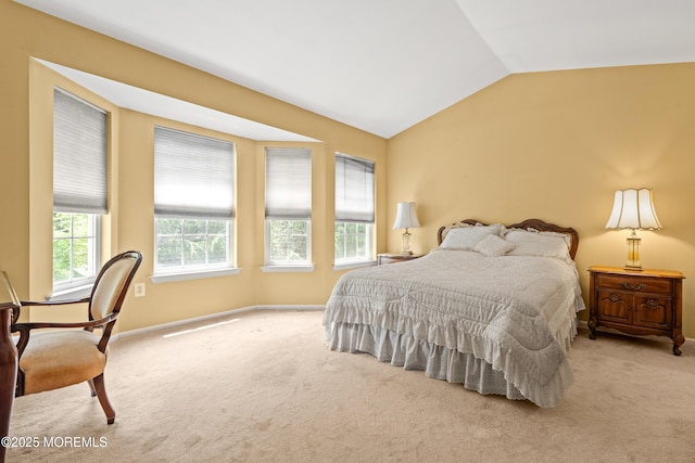 74 Mc Kinley Dr, Ocean Twp, NJ 07712 - carpeted bedroom with lofted ceiling and baseboards