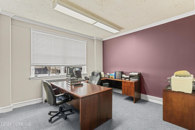 15 W Front St, Trenton, NJ 08608 - photo 15