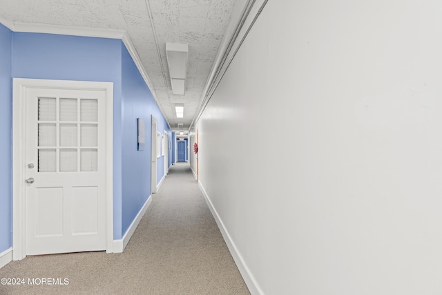 15 W Front St, Trenton, NJ 08608 - photo 19