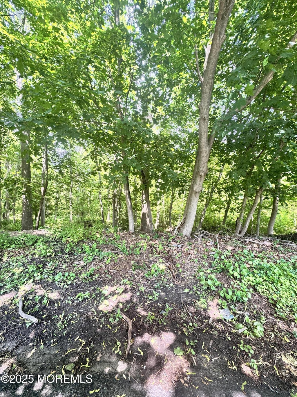 652 Wardell Rd, Neptune Township, NJ 07753