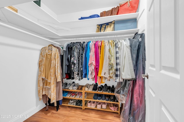 37 Normanton Ave, Manchester, NJ 08759 - walk in closet featuring wood finished floors