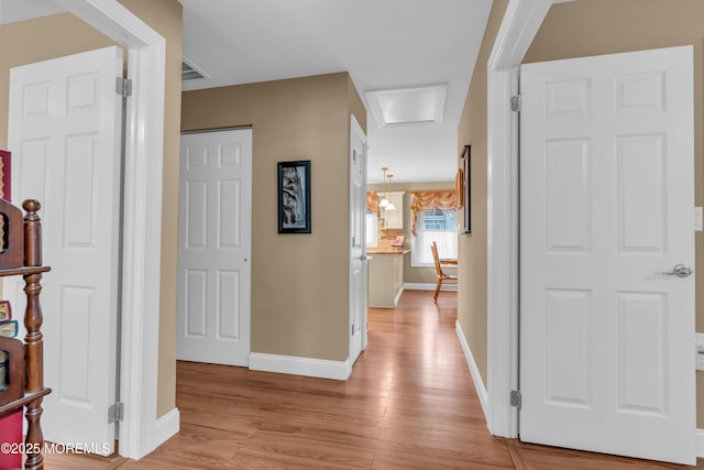 37 Normanton Ave, Manchester, NJ 08759 - hallway with light wood finished floors and attic access