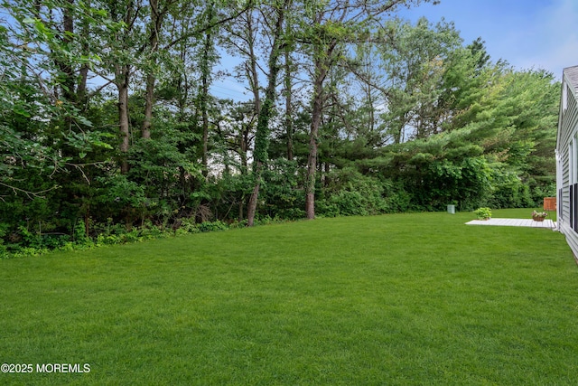 37 Normanton Ave, Manchester, NJ 08759 - view of green lawn