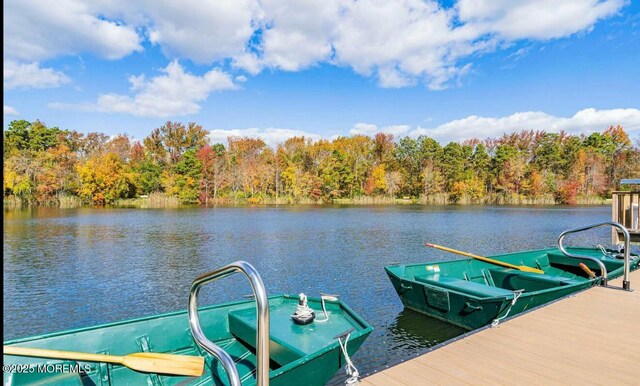 37 Normanton Ave, Manchester, NJ 08759 - dock area with a water view and a view of trees