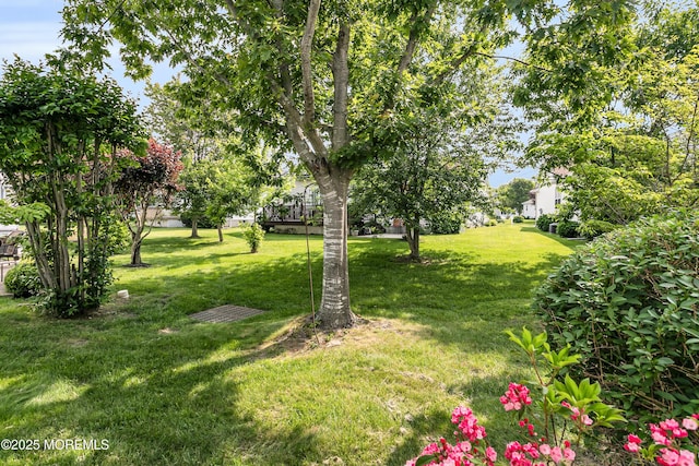 48 Wordsworth Rd, Brick, NJ 08724 - view of grassy yard