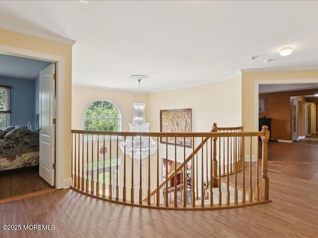 1 Turtle Clan Ct, Clarksburg, NJ 08510 - hall featuring wood finished floors, crown molding, an upstairs landing, and a chandelier