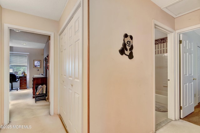 28 Tulip Ct, Howell, NJ 07731 - corridor featuring light carpet