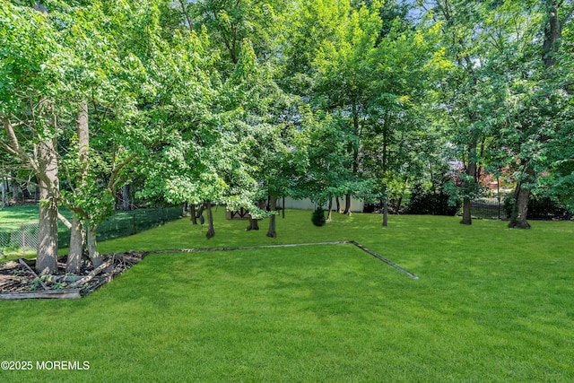6 Hoffer Ct, Marlboro, NJ 07746 - view of yard
