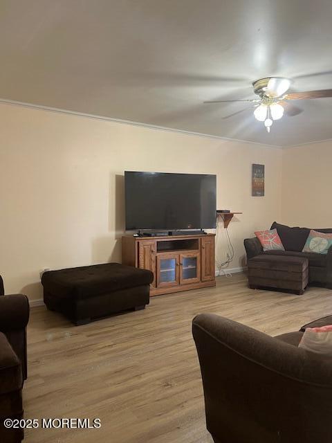 157 Meli Ln, Jackson, NJ 08527 - photo 9