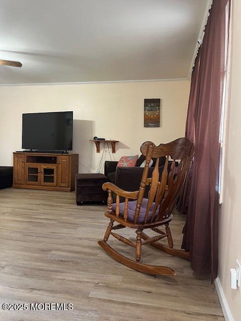 157 Meli Ln, Jackson, NJ 08527 - photo 5