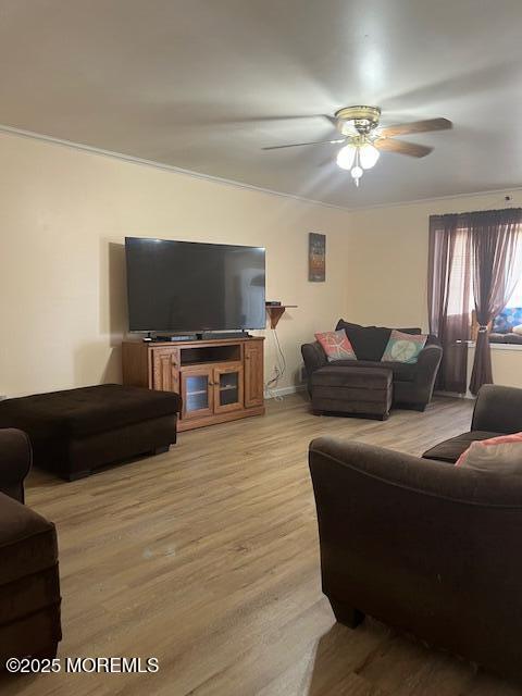 157 Meli Ln, Jackson, NJ 08527 - photo 8