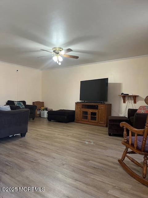 157 Meli Ln, Jackson, NJ 08527 - photo 4