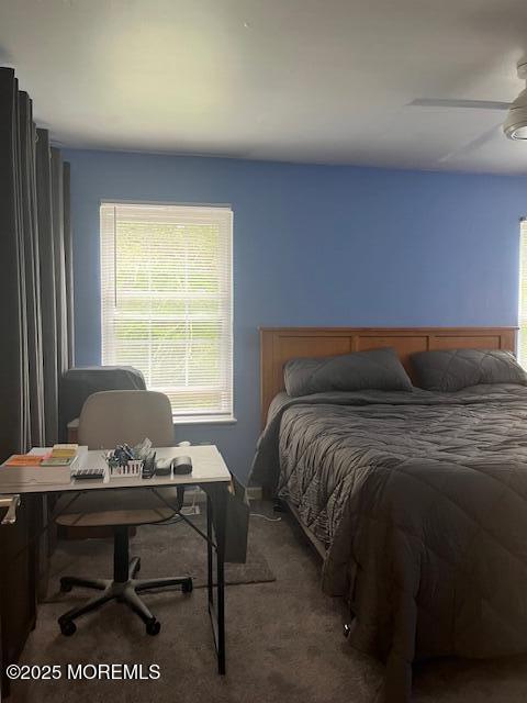 157 Meli Ln, Jackson, NJ 08527 - photo 24