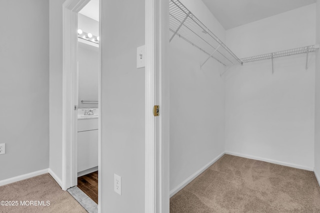 2211 Timber Ridge Ct Unit 2211, Sayreville, NJ 08859 - walk in closet featuring carpet and a sink