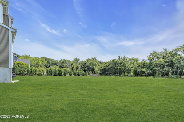 1605 Lakewood Rd, Manasquan, NJ 08736 - view of green lawn