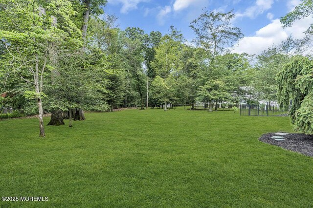 32 Blackbriar Dr, Colts Neck, NJ 07722 - view of yard