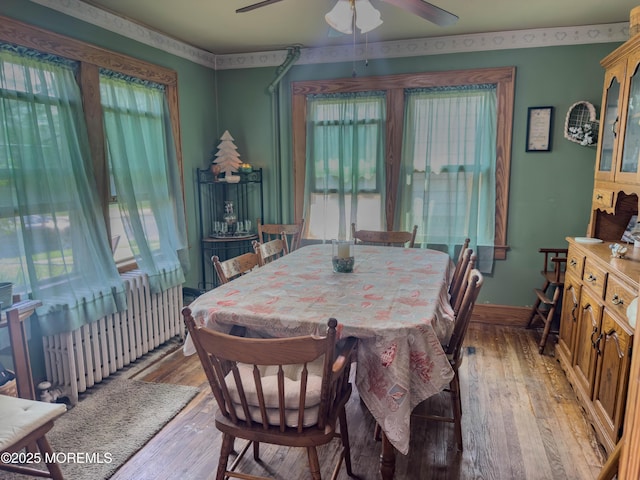 192 Bath Ave, Long Branch, NJ 07740 - dining area featuring radiator heating unit, ceiling fan, and light wood-style floors