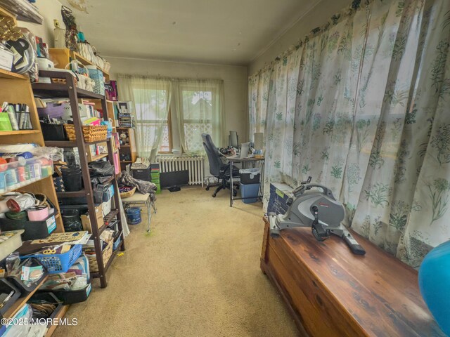 192 Bath Ave, Long Branch, NJ 07740 - office space with radiator heating unit and carpet