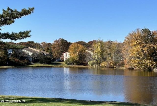 115 Brandywine Ct Unit 115, Brick, NJ 08724 - water view