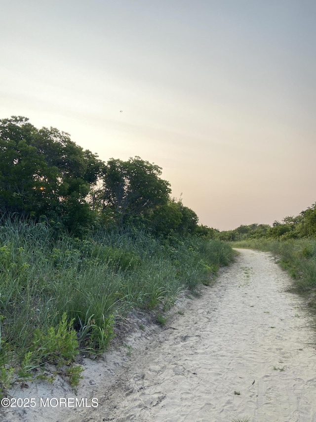 5205 Ocean Dr S, Brigantine City, NJ 08203 - view of undeveloped land