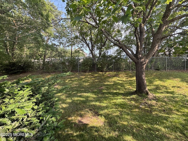 7 Robinson Rd, Brick, NJ 08724 - view of yard