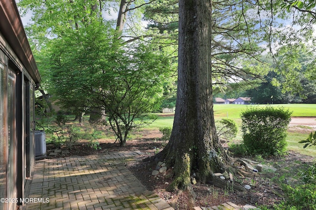 33 Claremont Ct, Red Bank, NJ 07701 - view of yard featuring view of scattered trees