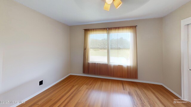 5 Samantha Dr, Monroe, NJ 08831 - empty room with light wood-style flooring and ceiling fan