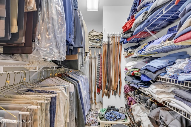 329 Valley View Cir, Freehold, NJ 07728 - view of walk in closet