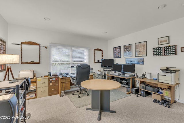 329 Valley View Cir, Freehold, NJ 07728 - office featuring carpet flooring and recessed lighting
